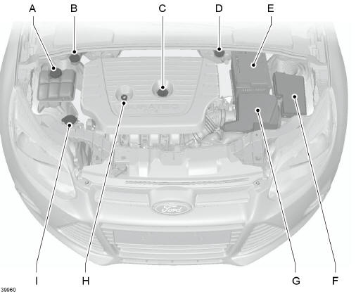 Motorraum - Übersicht - 2.0L Duratec-HE (MI4)