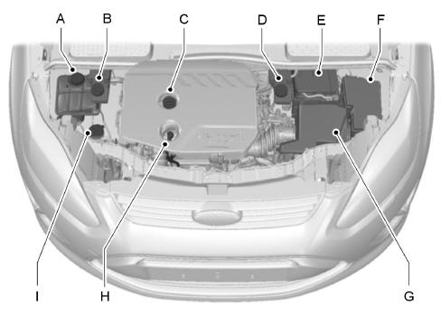 Motorraum - Übersicht - 1.6L Duratorq-TDCi (DV) Diesel