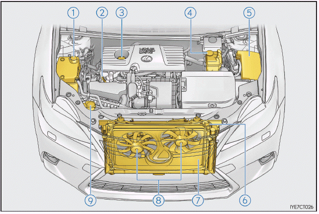 Lexus CT. Wartung in Eigenregie