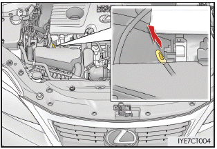 Lexus CT. Wartung in Eigenregie