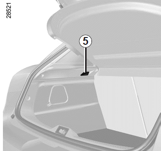 Renault Fluence. INNENBELEUCHTUNG: Lampenwechsel