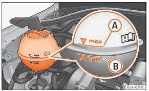 Seat Toledo. Abb. 245 Motorraum: Kühlmittel-Vorratsbehälter