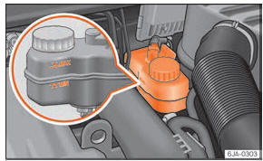 Seat Toledo. Abb. 246 Motorraum: Bremsflüssigkeitsbehälter