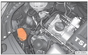 Seat Toledo. Abb. 247 Motorraum: Scheibenwaschwasserbehälter