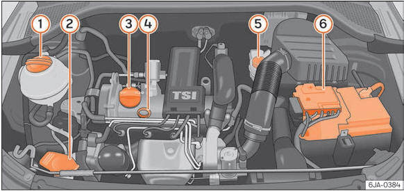 Seat Toledo. Abb. 243 Abbildung für die Einbaustellen der Elemente