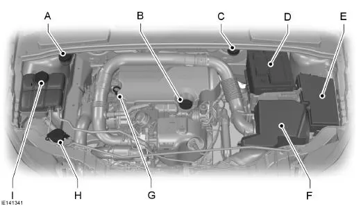 Motorraum - Übersicht - 1.0L EcoBoost