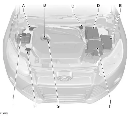 Motorraum - Übersicht - 1.6L EcoBoost SCTi (Sigma)