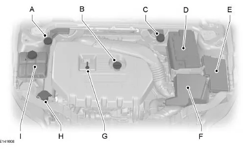 Motorraum - Übersicht - 2.0L EcoBoost SCTi (MI4)