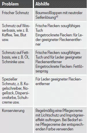 Seat Toledo. Außenreinigung