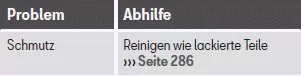 Seat Toledo. Außenreinigung