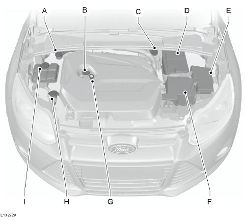 Motorraum - Übersicht - 1.6L EcoBoost SCTi (Sigma)